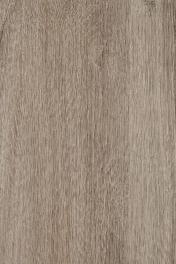 CHENE-DE-SUEDE_116130.jpg