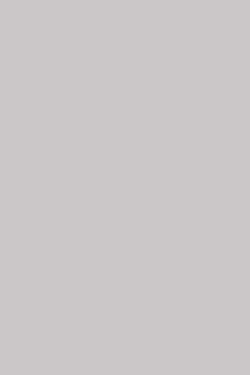 GRIS GALET 116372 CF2P
