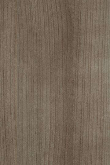 NOYER_SILVER CF2P