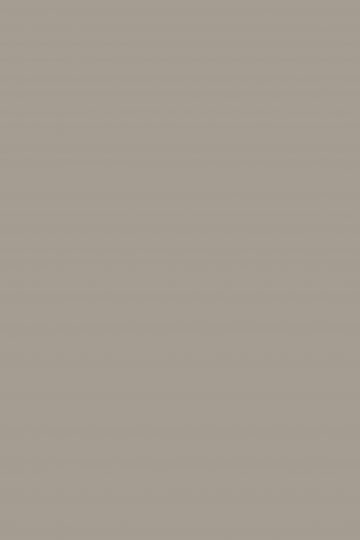 TAUPE 9207